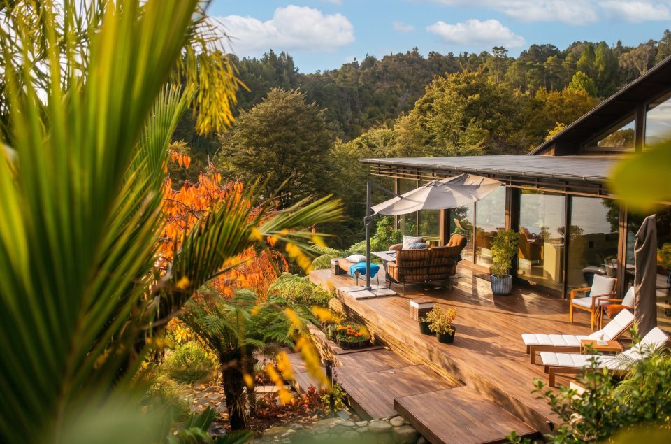 Rain-kissed deck in the forest